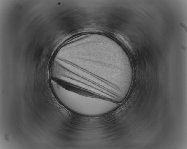 X0000092041268200710100951