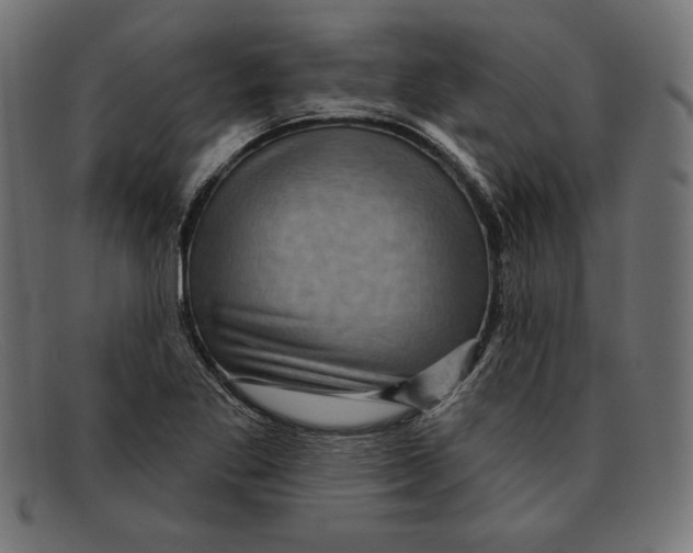 X0000092041269200710100951