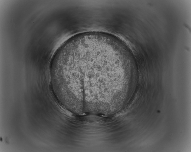 X0000092041271200710100951