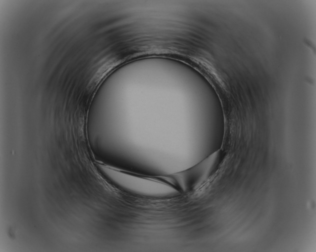 X0000092041273200710100951