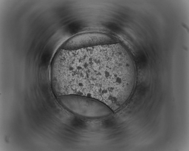 X0000092041275200710100951