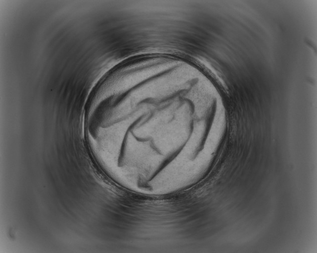 X0000092041276200710100951