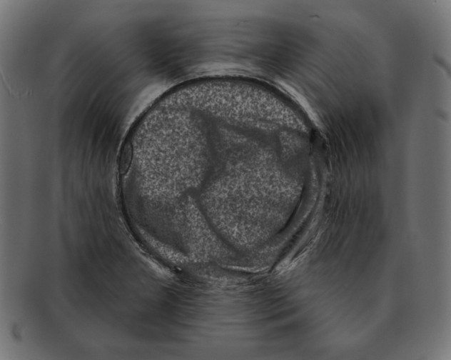 X0000092041277200710100951