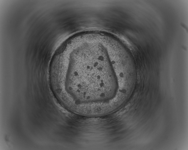 X0000092041279200710100951