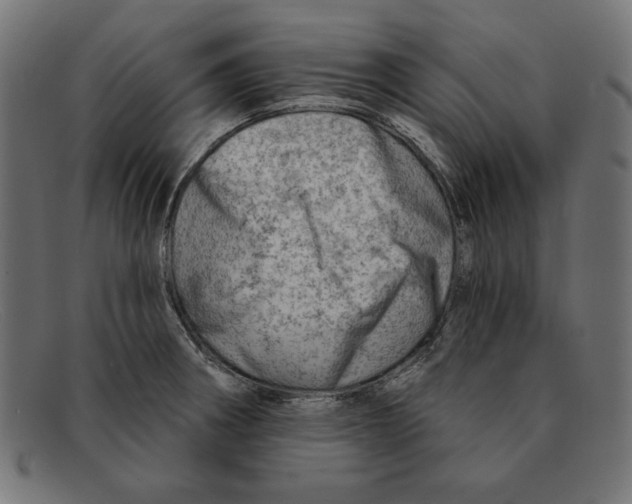 X0000092041282200710100951