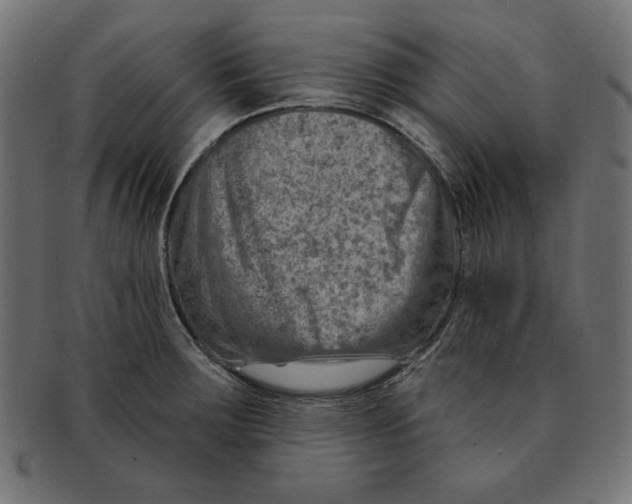 X0000092041283200710100951