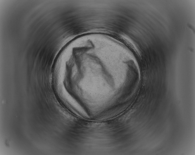 X0000092041284200710100951