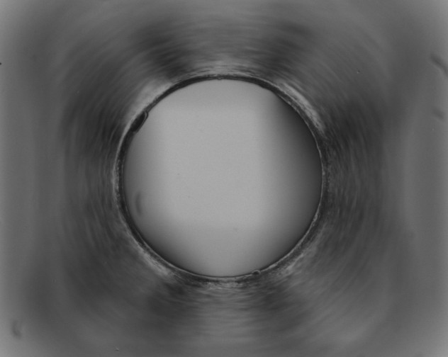 X0000092041285200710100951