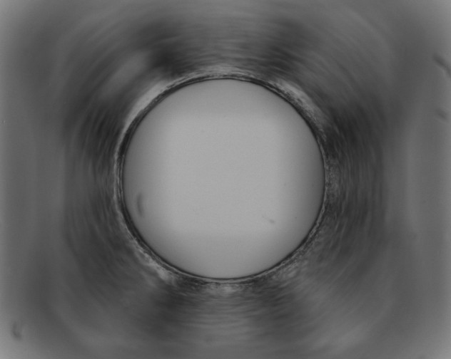 X0000092041286200710100951