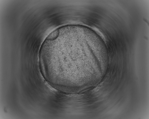 X0000092041287200710100951