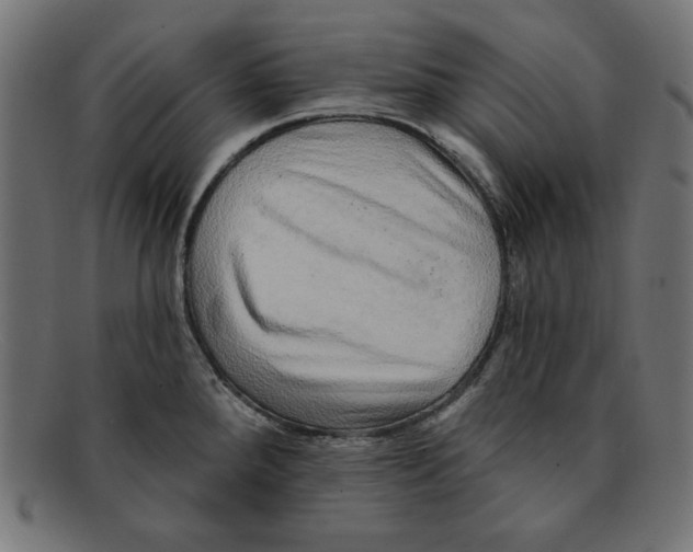 X0000092041288200710100951