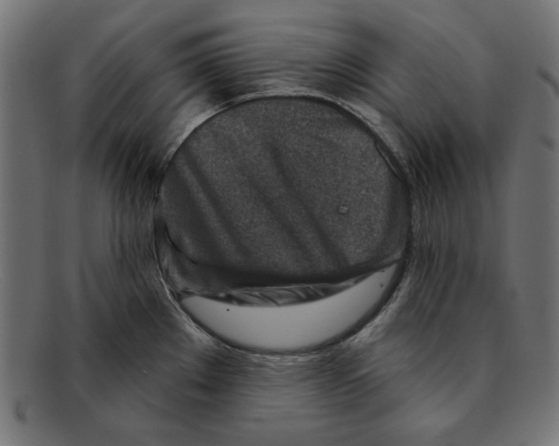 X0000092041289200710100951