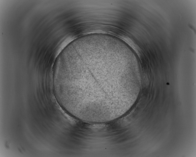 X0000092041290200710100951