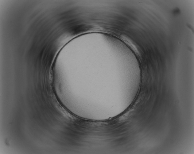 X0000092041292200710100951