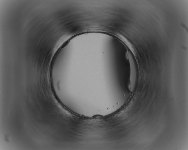 X0000092041293200710100951