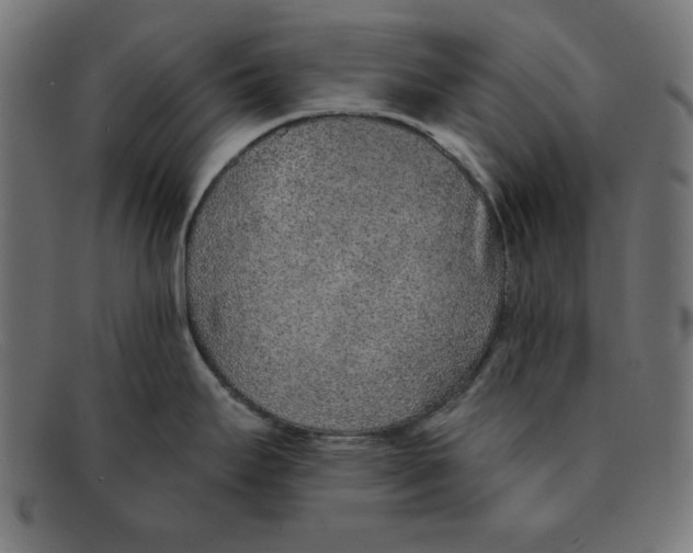 X0000092041295200710100950