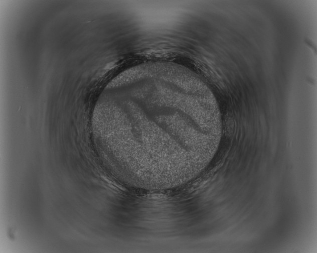 X0000092041297200710100950