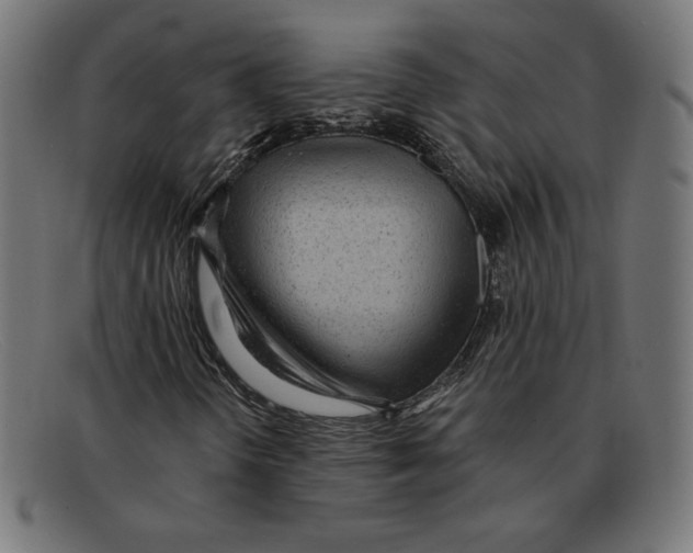 X0000092041298200710100950