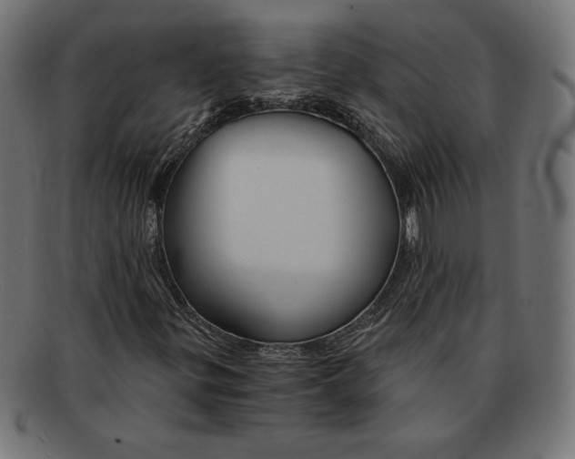 X0000092041299200710100950