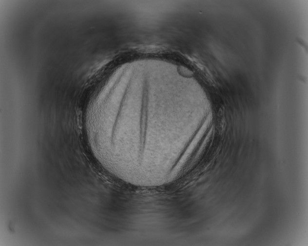 X0000092041301200710100950