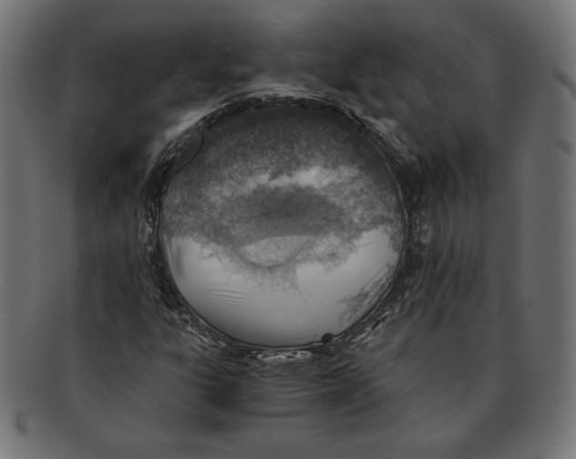 X0000092041303200710100950