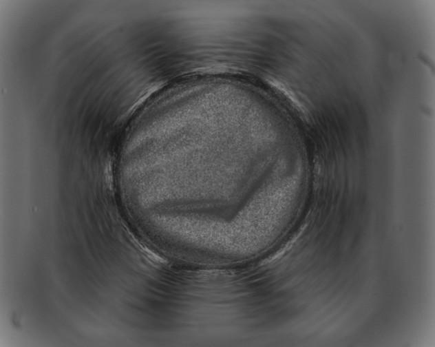 X0000092041305200710100950