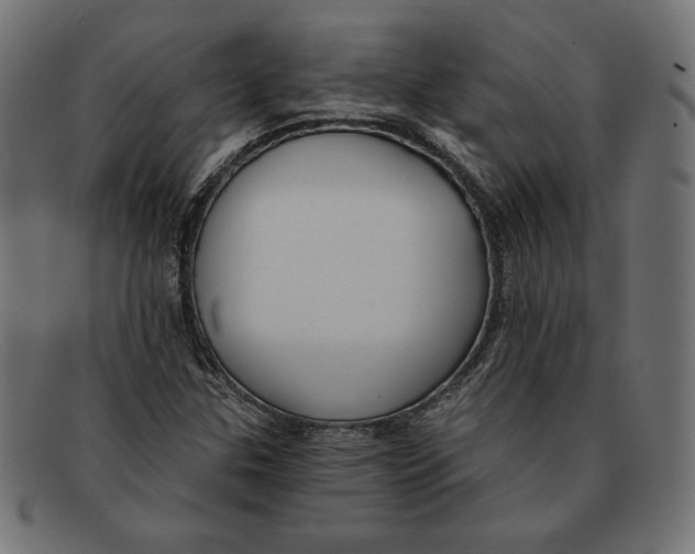 X0000092041307200710100950