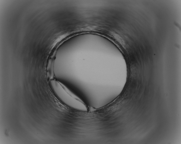 X0000092041308200710100950