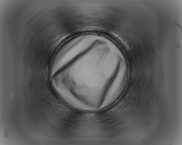 X0000092041313200710100950