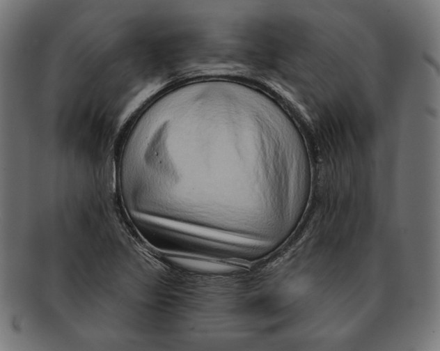 X0000092041317200710100950