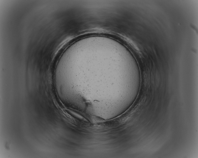 X0000092041318200710100950