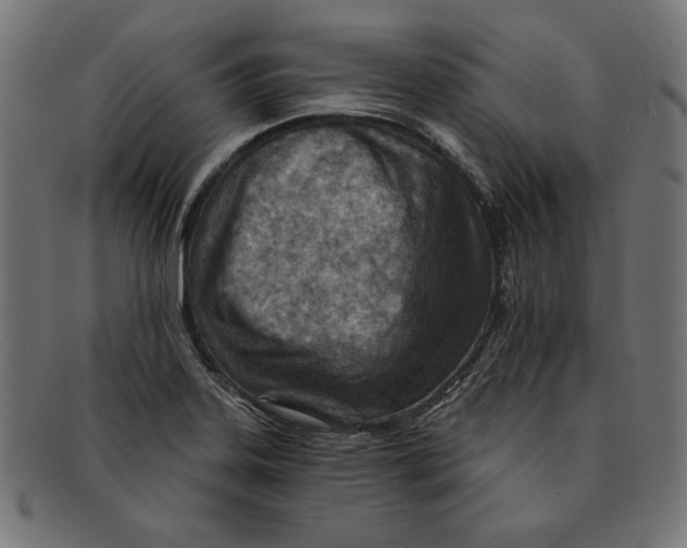 X0000092041323200710100950