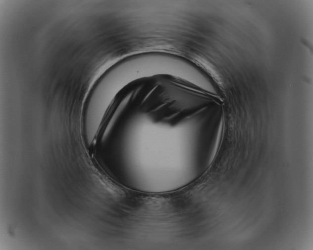 X0000092041324200710100950