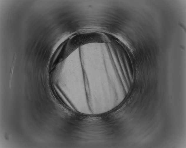 X0000092041325200710100950