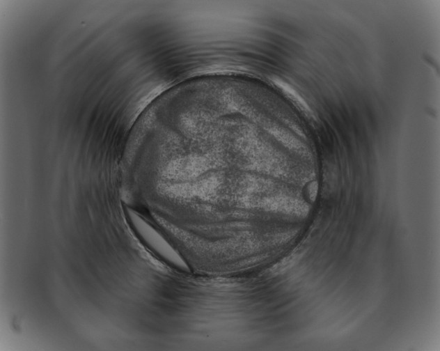 X0000092041329200710100950