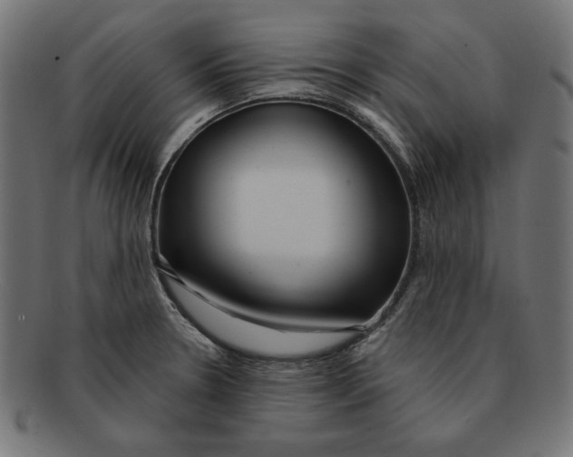 X0000092041330200710100950