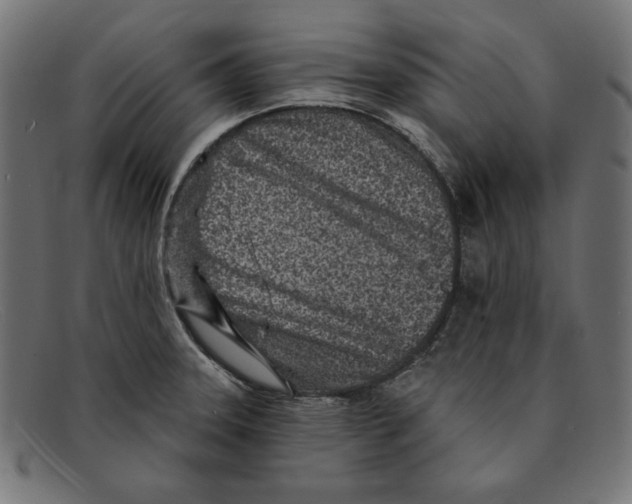 X0000092041331200710100950