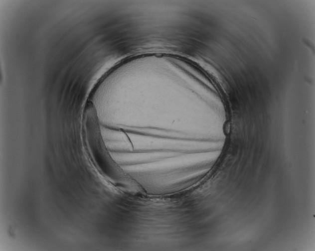 X0000092041333200710100950