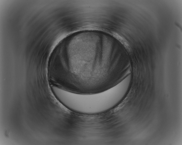 X0000092041334200710100950