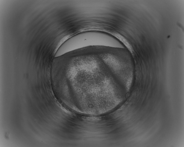 X0000092041337200710100950