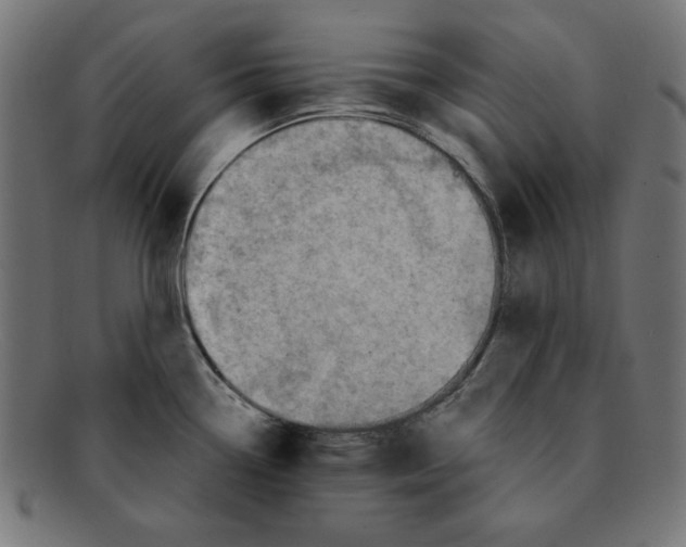 X0000092041338200710100950