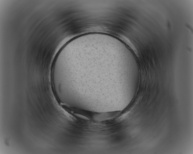 X0000092041339200710100950