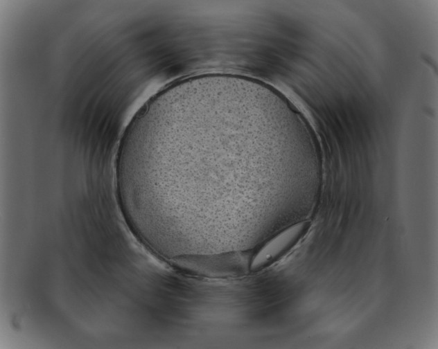 X0000092041341200710100950