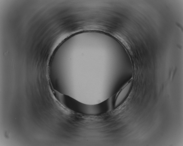 X0000092041342200710100950