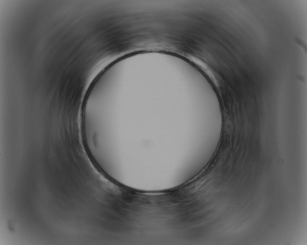 X0000092041343200710100950