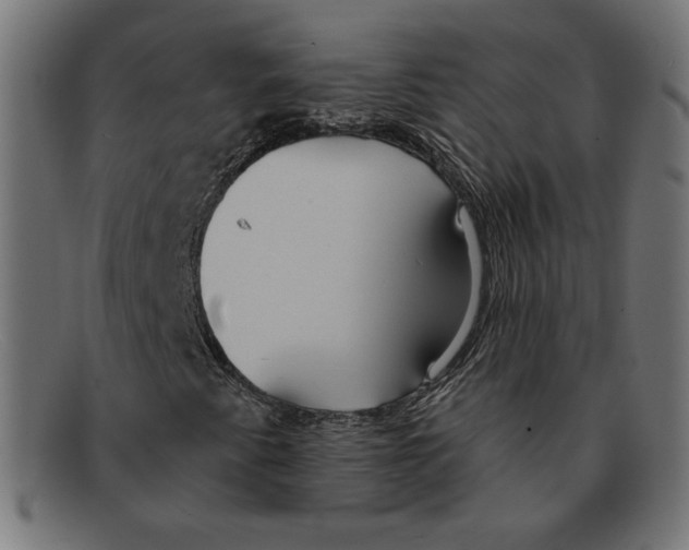 X0000092041345200710100950