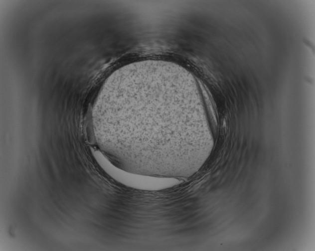 X0000092041348200710100950