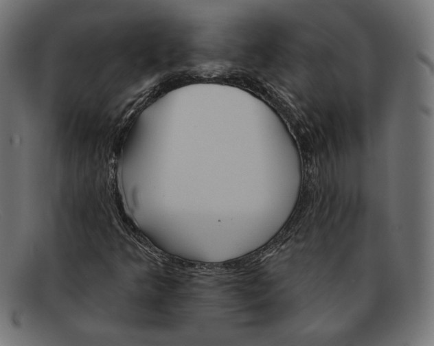 X0000092041349200710100950