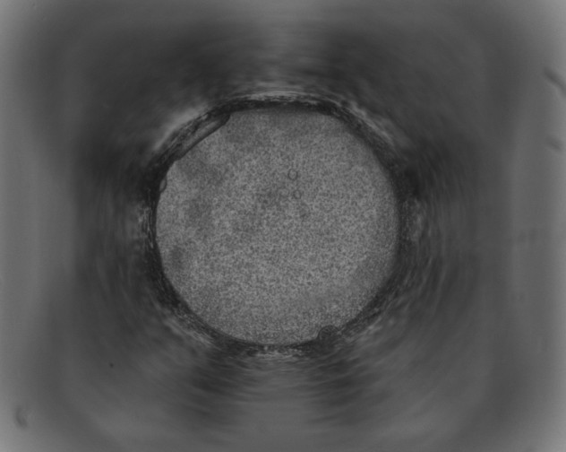 X0000092041351200710100950