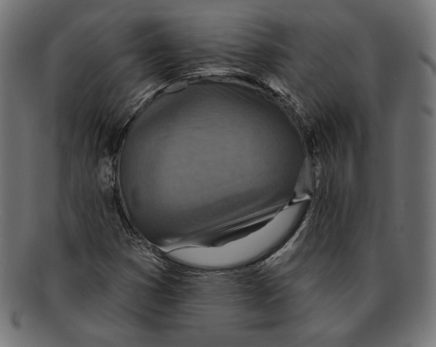 X0000092041353200710100950